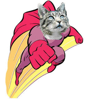 CATMANの画像