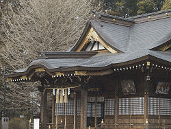 馬化龍の画像