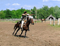 何武の画像
