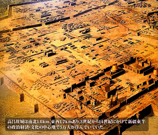麹文泰の画像