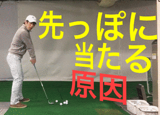 トウ楠の画像