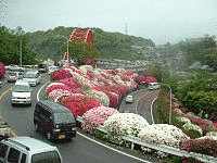 路招の画像
