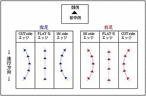 トウ方の画像