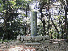 王尊の画像