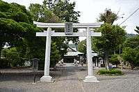楊原の画像