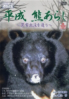 クマの冬ごもりの画像