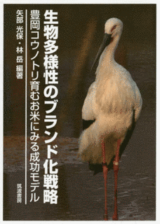 化林性エイの画像