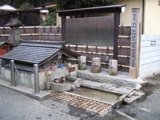 辛徳源の画像