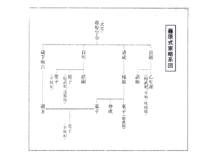 秦朝元の画像