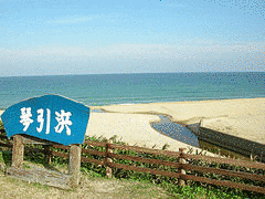 夏恭の画像