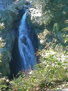 王徳の画像