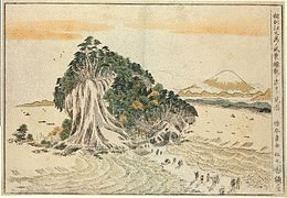 周幾の画像