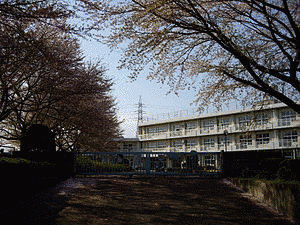 丘為の画像