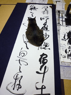 孫逖の画像