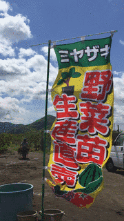 苗神客の画像