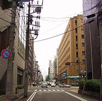 葉仙ダイの画像