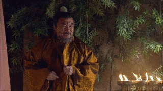 劉審瓊の画像