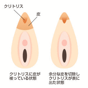 方苞の画像