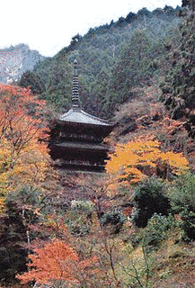 高普の画像