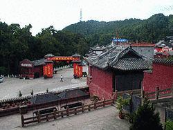 陽尼の画像