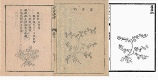 徐世譜の画像