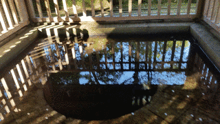 程霊洗の画像