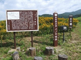 郭寄キョウの画像