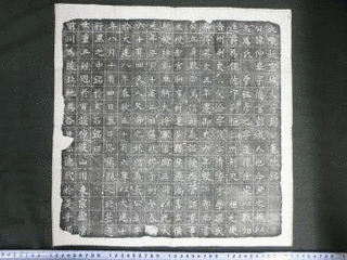 到仲挙の画像