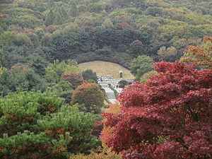 沈炯の画像
