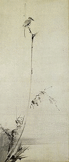 南桂馨の画像