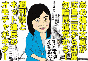 夏の画像