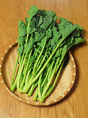 菜の画像