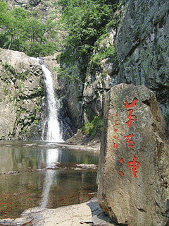 諸の画像