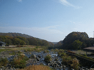 余の画像