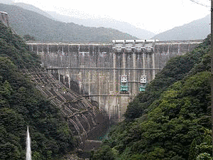 真の画像