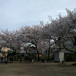 福島九成の画像