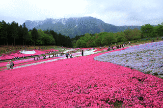 田市の画像