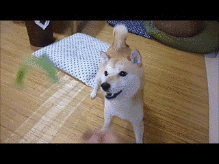 陽休之の画像
