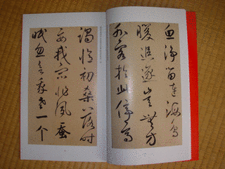 鮮于修礼の画像