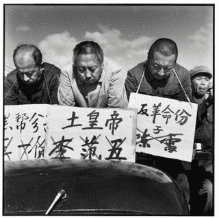 王一倫の画像
