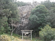 王鸚鵡の画像