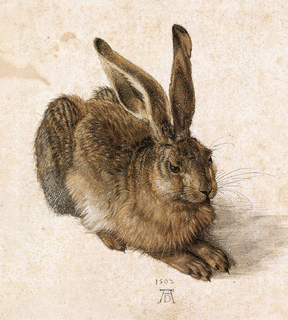 1490年生まれの人物の画像