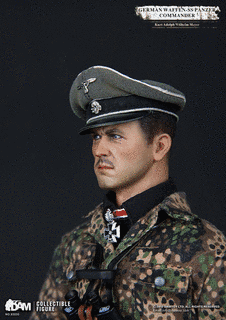 クルト・マイヤーの画像