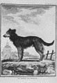 バルテルミー・フォジャ・ド・サン＝フォンの画像