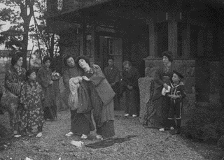 生ける屍の画像