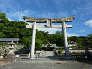 桜田元親の画像