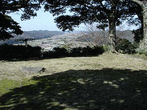 亀井茲矩の画像