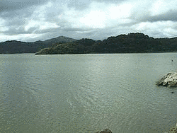 吉岡定勝の画像