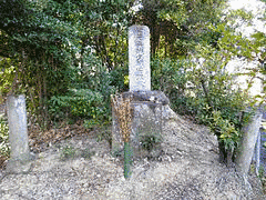 松井宗信の画像