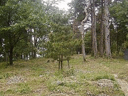 土肥親真の画像